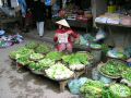 hand photos voyage vietnam