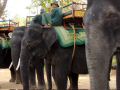 hand photos voyage - le Cambodge