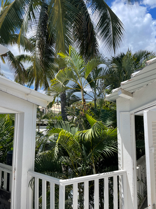 Maison Hand Studio - Projet Realisation hôtel La Reunion